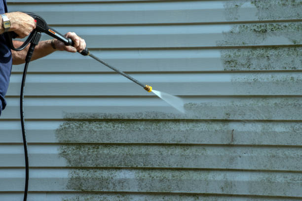 Best Patio and Deck Pressure Washing  in Mena, AR